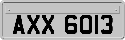 AXX6013