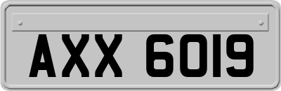 AXX6019