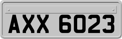 AXX6023