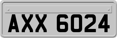 AXX6024
