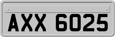 AXX6025
