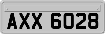 AXX6028