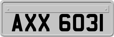 AXX6031