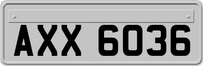 AXX6036