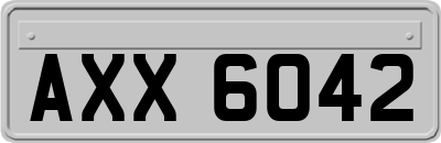 AXX6042