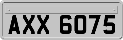 AXX6075