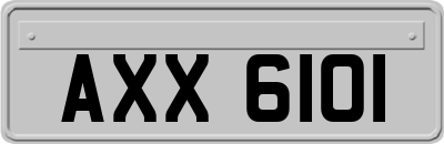 AXX6101