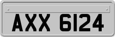 AXX6124