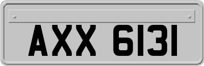 AXX6131
