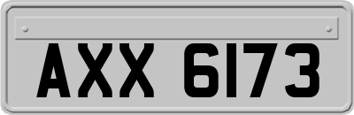 AXX6173