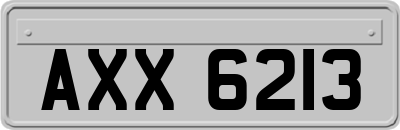 AXX6213