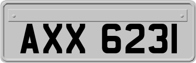 AXX6231