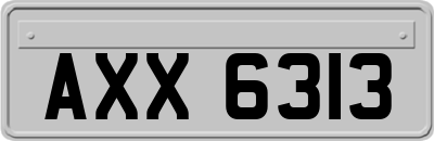 AXX6313