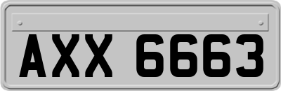 AXX6663