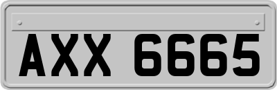 AXX6665