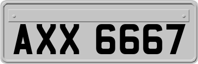 AXX6667