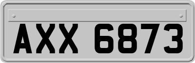 AXX6873