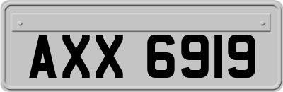 AXX6919
