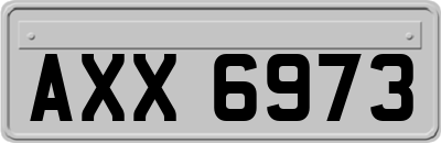 AXX6973