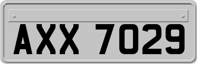 AXX7029