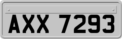 AXX7293