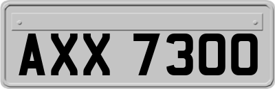 AXX7300