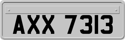 AXX7313