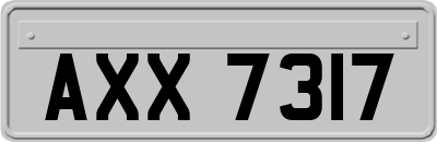 AXX7317