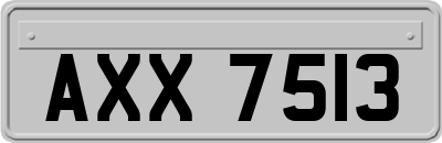 AXX7513