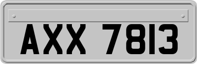 AXX7813