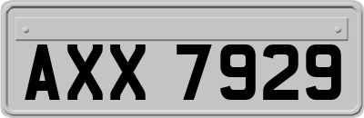 AXX7929