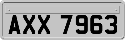 AXX7963