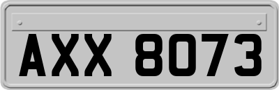 AXX8073