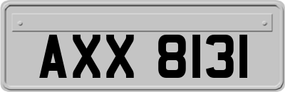 AXX8131