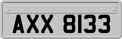 AXX8133