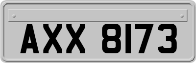AXX8173