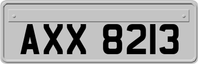 AXX8213