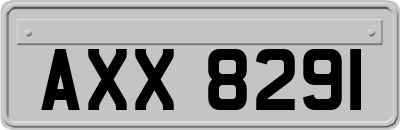 AXX8291