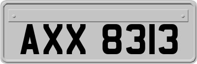 AXX8313