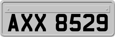 AXX8529