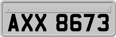 AXX8673