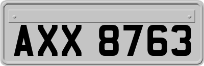 AXX8763