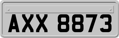 AXX8873