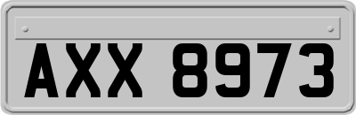 AXX8973