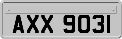 AXX9031