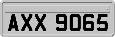 AXX9065