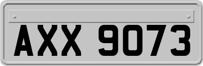 AXX9073