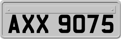 AXX9075