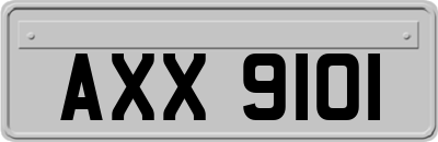 AXX9101
