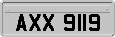 AXX9119